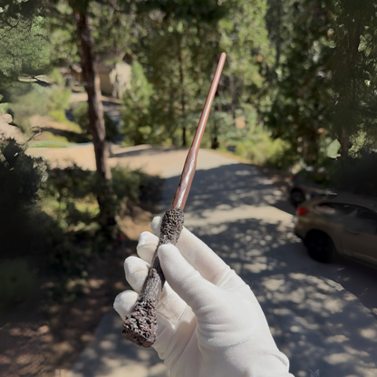 Harry's Wand