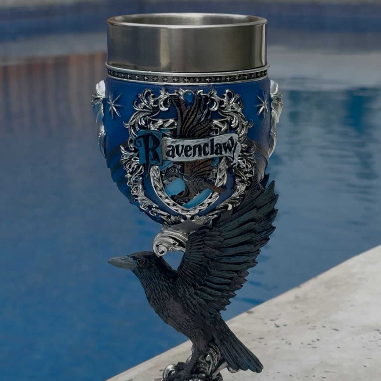 Raven Inspired Goblet